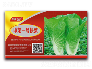 ��sһ̖���-�ײ˷N��-��s�r(n��ng)�I(y��)