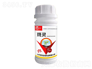 �а߲����������܄�-���`-�ڬ�����