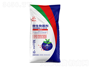 ΢�������-��ʢ�r(n��ng)�I(y��)