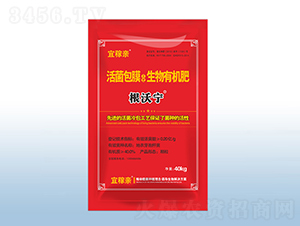 �����Ĥ�������ЙC(j��)��-���֌�-�˼��H-�ڰ�