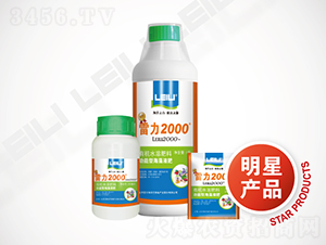 ����2000-����