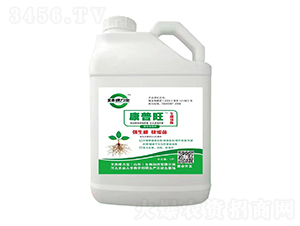 ������΢�������-�Ľܿ�����