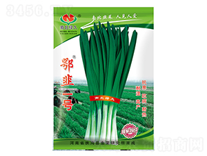 ����һ̖(h��o)-�²˷N��-�ϱ��G��