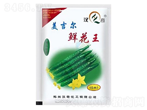 鮮花王-美吉爾-漢奇