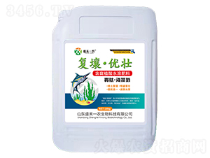 ���ġ����嵪-��(f��)������(y��u)��-ʢ��һ�r(n��ng)