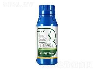 24-���|̦�؃�(n��i)����S-�T����-�����r(n��ng)