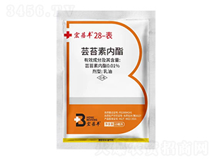 �����S28-���|̦�؃�(n��i)��-�����r(n��ng)