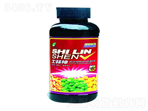 士林神-士林科技