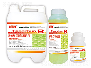 �Ǵ���-��(gu��)�����r(n��ng)