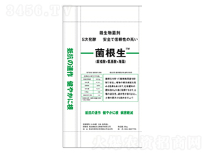 菌根生（球狀）-安田