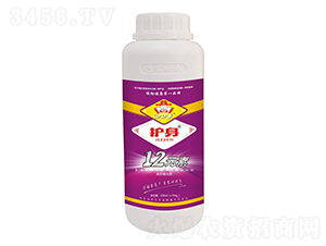 12Ԫ��-�o��-���Ԫ