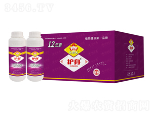 12Ԫ�أ��䣩-�o(h��)��-���Ԫ