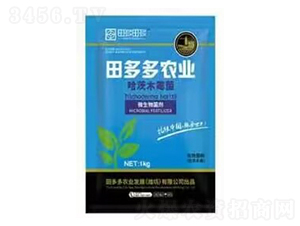 哈茨木霉菌-田多多農(nóng)業(yè)