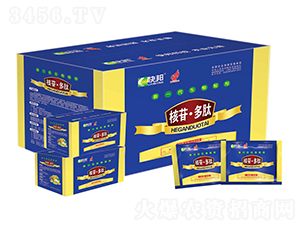 ��һ�������Ƅ�-���ն���-�������