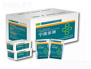 ��һ�������Ƅ�-���϶���-�������