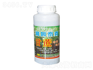 ��������������-��ķ�r(n��ng)�I(y��)