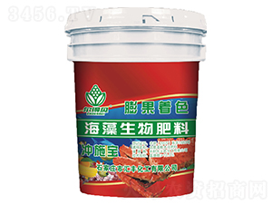 �����������-����ؐ-�R�S����