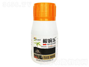 ������-�������-�挎