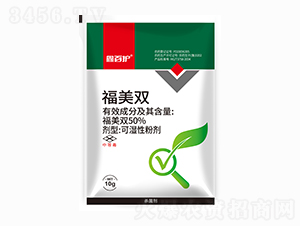 50%�����p-�ΰ��o(h��)