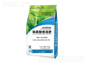 �ߵ����׌������ᓽ���-�S���r(n��ng)�I(y��)