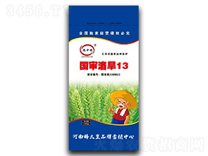 ��(gu��)���庵13��С���N�ӣ�-�Z�мZ-���ڷN�I(y��)