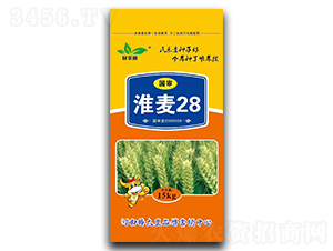 ����28��С���N�ӣ�-��(l��)��-���ڷN�I(y��)