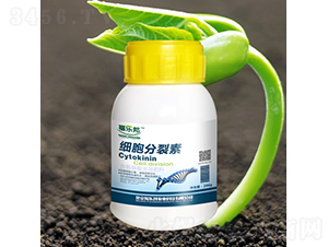 ��(x��)��������-����(l��)�� 