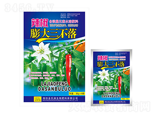 ���������-ʥ�ϝ�