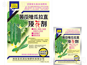 �S��������ֱ픻���-ʥ�ϝ�