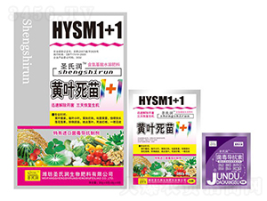 �S�~����1+1-ʥ�ϝ�