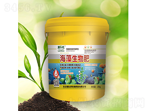 ���������-������