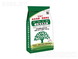 �ָ��S�����{(di��o)�턩-�вć�(gu��)�H