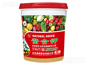 �����-�v���ʘI(y��)