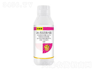 24-���|̦�؃�(n��i)��-�|����-��ِ��