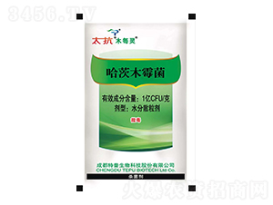 ����ľù��-̫��ľÿ�`-��������