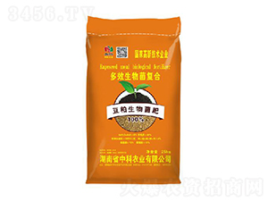 ��Ч�������(f��)��-�����������-�п��r(n��ng)�I(y��)