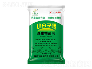 С����̼΢�������-��̼���B(t��i)