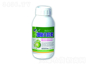 500ml��(x��)��������-����ʘI(y��) 