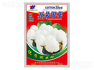 ����y��-�޻��N��-��Դ�r�I(y��)