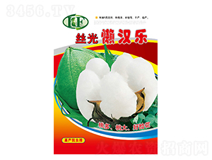 �z��Нh��-�޻��N��-��Դ�r�I(y��)