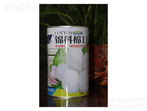 �\����11-�޻��N��-��Դ�r�I(y��)