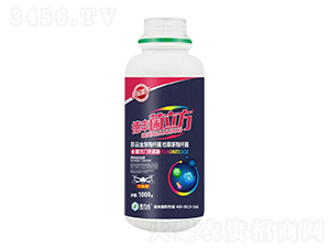 德豐菌立方-德爾豐