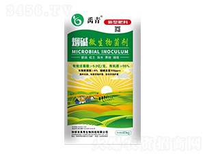 ���A΢�������-��������