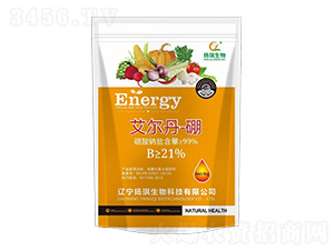 艾爾丹硼-揚(yáng)琪生物