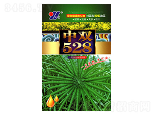 ���p528-�Ͳ˷N��-��Դ�r(n��ng)�I(y��)