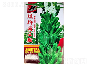 ���_������-֥��N��-��Դ�r(n��ng)�I(y��)