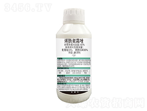 40%ϩ������˪��+0.3%�������-�ΰ�����