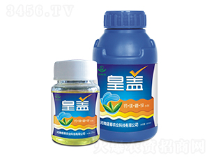 ���w-ʢ���r(n��ng)�I(y��)