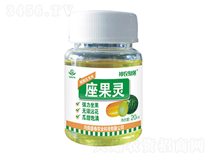 �����`������ό��ã�-���r(n��ng)����-ʢ���r(n��ng)�I(y��)