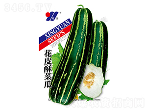 ��Ƥ�ֲ˹�-��ϷN��-��Դ�r(n��ng)�I(y��)